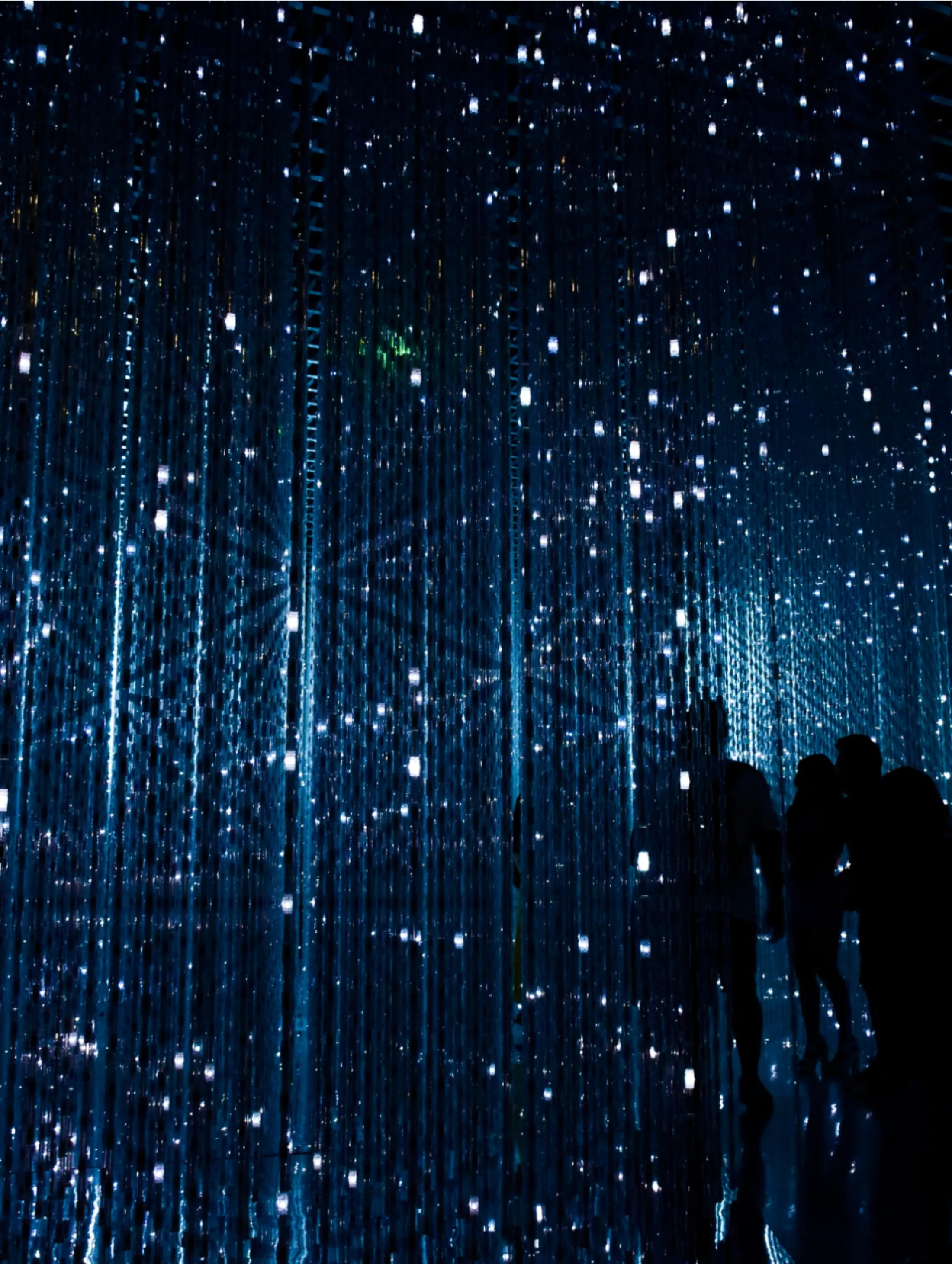 Silhouettes of people standing amidst a curtain of blue, twinkling lights in a dark, immersive environment.